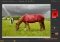 Pixo image 1 thumbnail