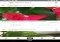 PlantNet Android image 2 thumbnail
