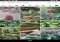 PlantNet Android image 6 thumbnail