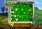 Plants vs. Zombies Free iPhone image 1 thumbnail