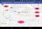 PokeAlert Android image 3 thumbnail