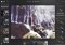 Polarr Webapps image 4 thumbnail