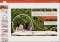 PowerPoint Mobile image 1 thumbnail