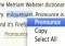Pronounce image 1 thumbnail