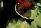Puddle Android image 1 thumbnail