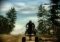 Pure image 1 thumbnail