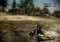 Pure image 3 thumbnail