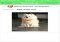 Pushbullet iPhone image 5 thumbnail
