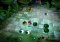 Puzzling Paws image 4 thumbnail
