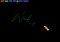 r4 image 5 thumbnail