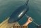 Raft image 6 thumbnail