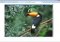 Rapid Gallery Creator image 4 thumbnail