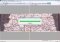 RasterStitch image 2 thumbnail