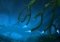Rayman Adventures Android image 5 thumbnail