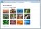 ReaGallery image 3 thumbnail