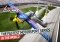 Red Bull Air Race iPhone image 1 thumbnail