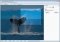 Retouch Pilot image 4 thumbnail