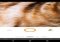 Retrica Android image 2 thumbnail