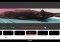 Retro Camera Android image 3 thumbnail