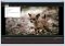 RichFLV image 4 thumbnail