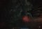 Risen image 5 thumbnail