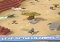 Rodeo Stampede iPhone image 1 thumbnail