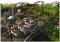 RollerCoaster Tycoon image 3 thumbnail