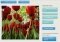 Rollip Webapps image 6 thumbnail