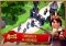 Royal Revolt 2 image 3 thumbnail
