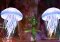 Runes of Magic image 6 thumbnail