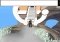 RuneScape Webapps image 5 thumbnail