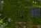 Sacred 2 image 5 thumbnail