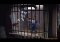 Sam & Max: The Penal Zone image 1 thumbnail