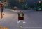 Santa Ride! image 3 thumbnail