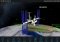 Satellite Safari iPhone image 3 thumbnail