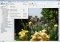 Scrivener image 3 thumbnail
