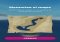 Sea Hero Quest Android image 6 thumbnail