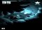 Seashine Android image 1 thumbnail