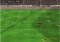 Sensible Soccer image 3 thumbnail