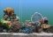 SereneScreen Marine Aquarium image 1 thumbnail