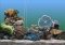 SereneScreen Marine Aquarium image 2 thumbnail