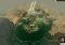 Shogun 2 image 2 thumbnail
