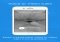 Signal Private Messenger iPhone image 2 thumbnail
