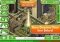 SimCity Android image 4 thumbnail