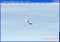 Flying-Model-Simulator 2.0 Alpha 8.5