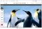 Skitch image 1 thumbnail
