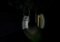 Slender image 3 thumbnail