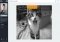 Slid.us Webapps image 5 thumbnail