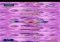 Slither.io Android image 6 thumbnail