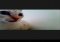 Snapcat Android image 2 thumbnail